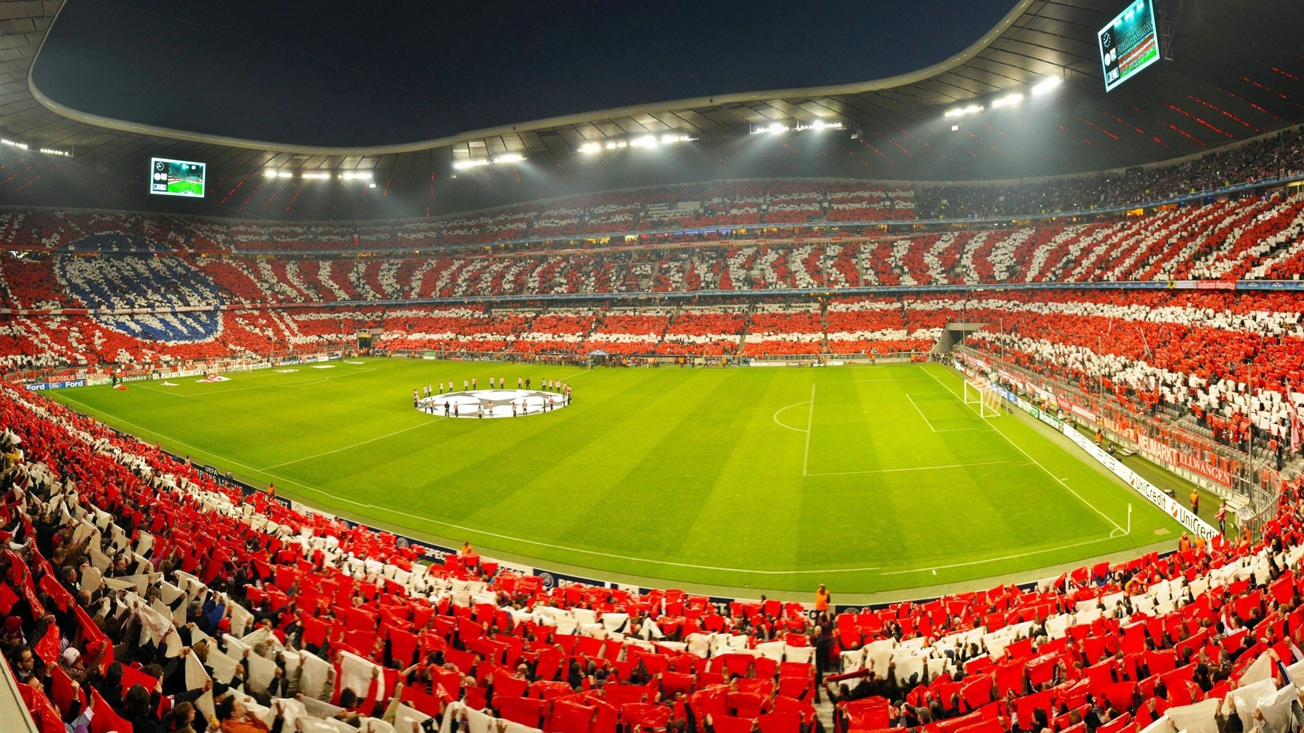 凯尔特人推出“球迷意见议会”，直接影响场馆决策，凯尔特人球迷头像